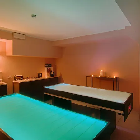 Hotel Avani Palazzo Moscova -previously Nh Palazzo Moscova- Milan